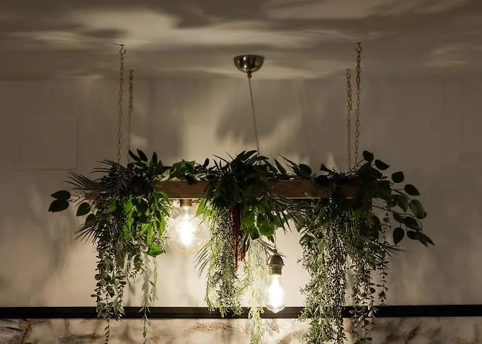 アパート Comfee - Ultracentral